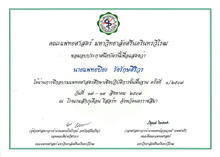 Nida Esthetic Cosmetic Surgery Bangkok